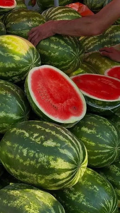 وزارة الداخلية تفند إشاعات حول البطيخ الأحمر