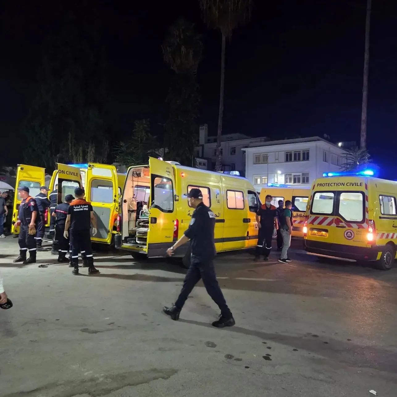 رئيس الجمهورية يقرر حدادا وطنيا