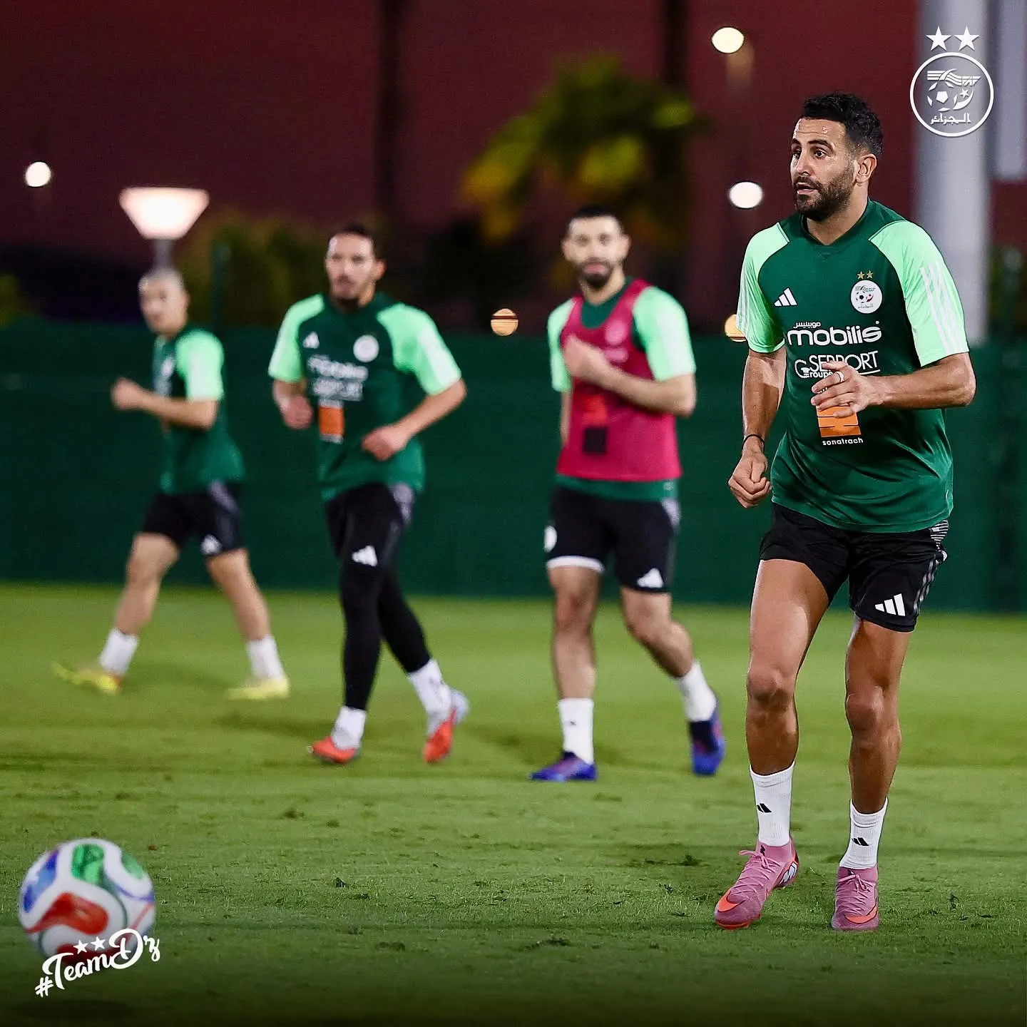 المنتخب الجزائري يستأنف العمل استعدادا لمواجهة السعودية وديا