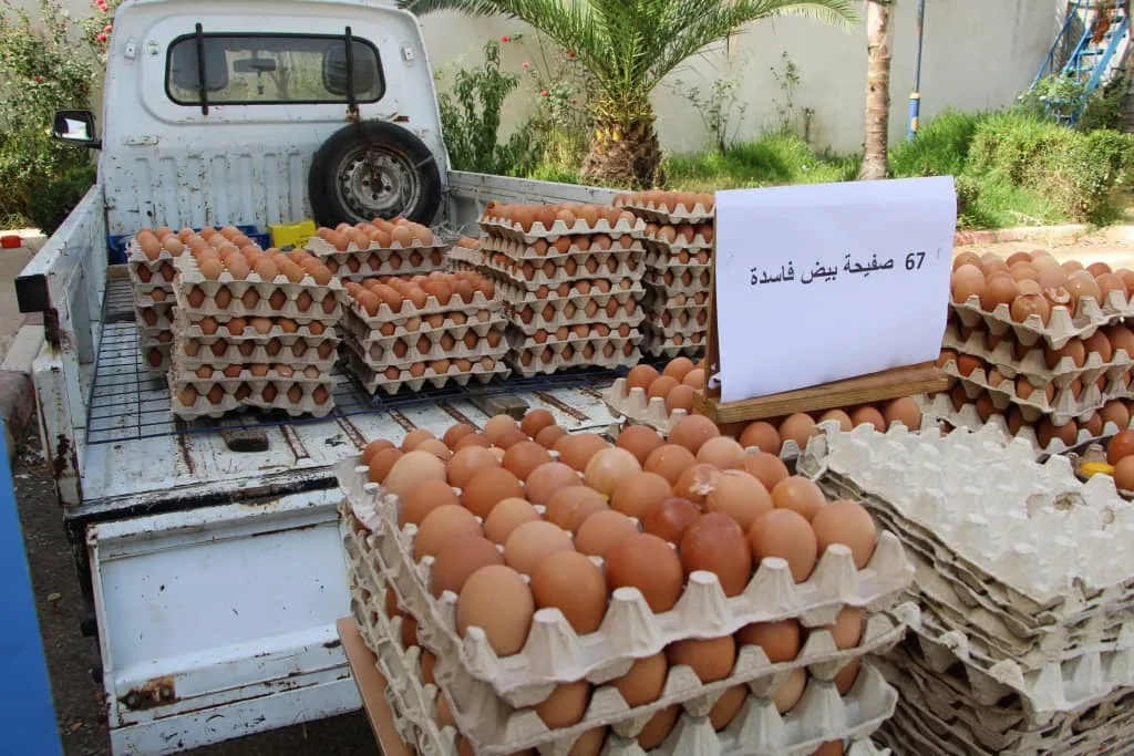 ضبط شاحنة محملة ببيض فاسد في البليدة بفضل بلاغ مواطن