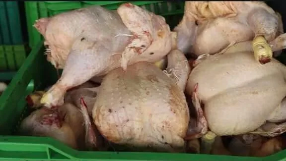 الجزائر تحبط محاولة توزيع قرابة 3 طن لحوم فاسدة في الشلف