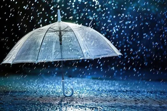 أمطار رعدية غزيرة في عدة ولايات