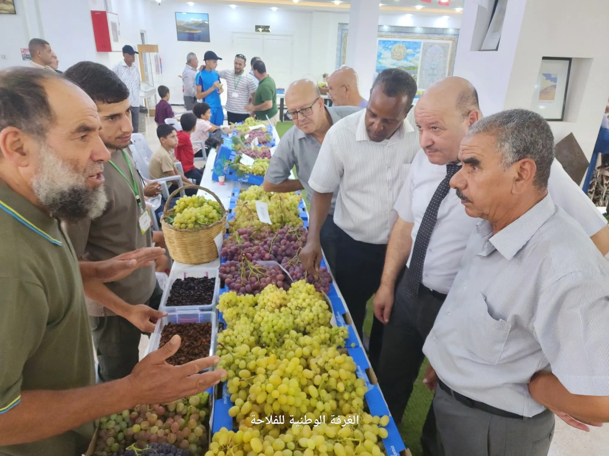 احتفالية عيد العنب في طبعتها السادسة بولاية بومرداس