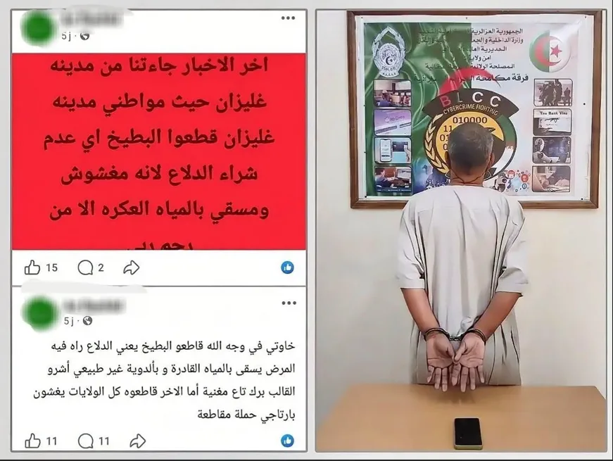 القبض على مروّج شائعات حول البطيخ الأحمر "الدلاع"