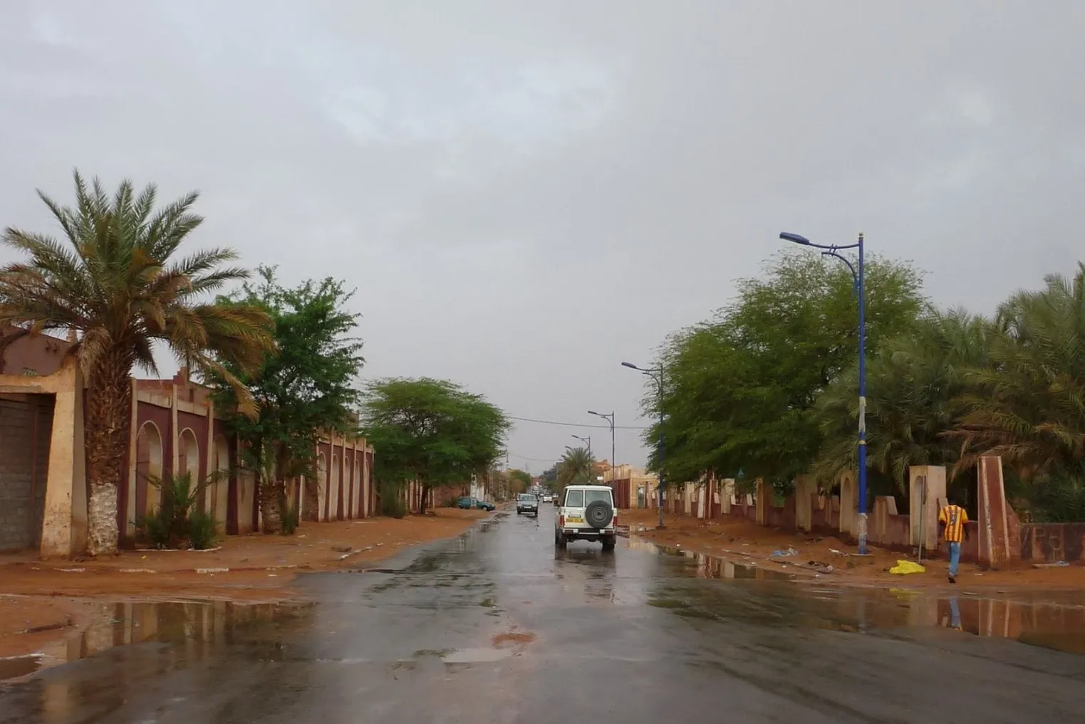 أمطار ورعود في الولايات الجنوبية