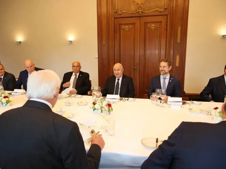 المحادثات بين رئيس الجمهورية ونظيره الألماني تتوسع إلى وفدي البلدين
