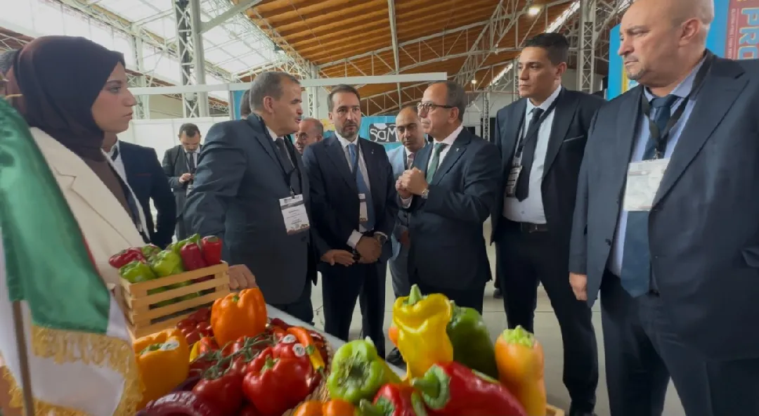 الوزير رزيق يحول فائض الحقول إلى رهان استراتيجي على الأسواق  الدولية